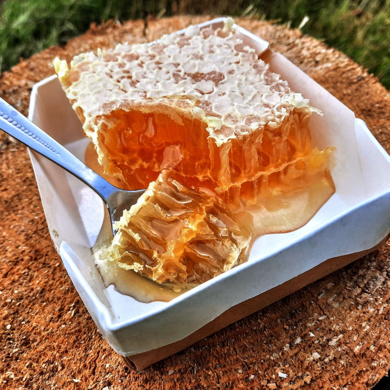 Golden honey in a natural honeycomb